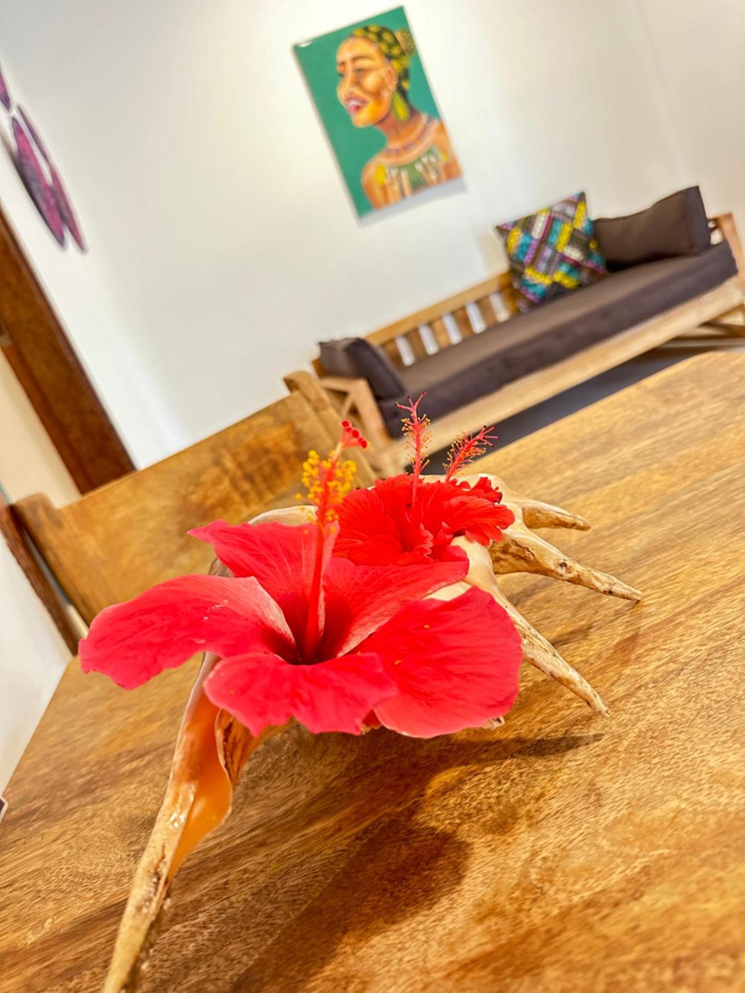 Sand Beach Boutique Apartments Буэхуу Экстерьер фото